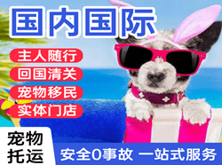阿拉善左旗巴彦浩特空运代理国际宠物托运 【国